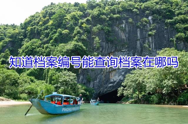 知道档案编号能查询档案在哪吗