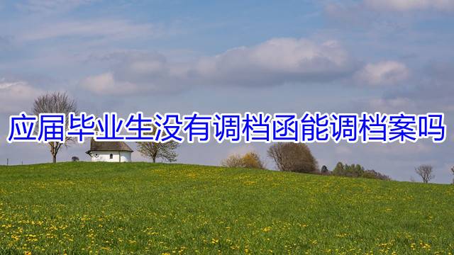 应届毕业生没有调档函能调档案吗