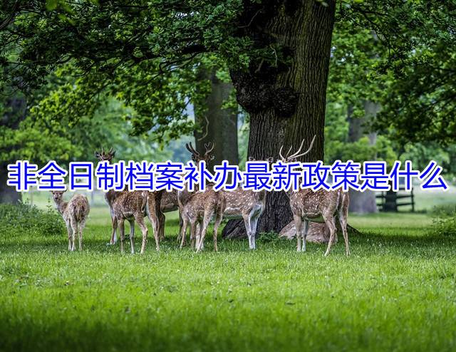 非全日制档案补办最新政策是什么