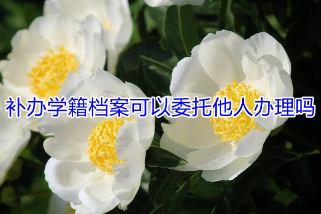 补办学籍档案可以委托他人办理吗