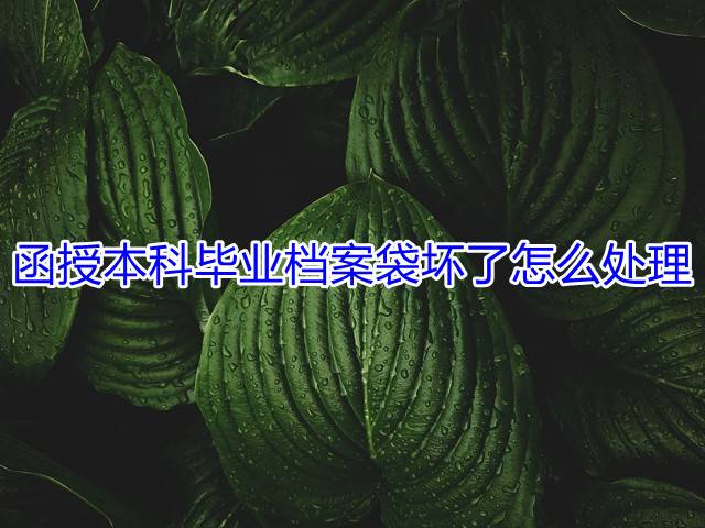 函授本科毕业档案袋坏了怎么处理