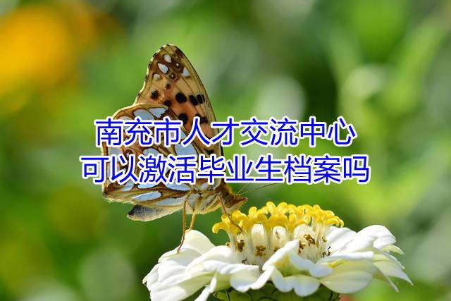 南充市人才交流中心可以激活毕业生档案吗