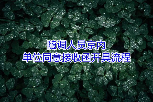 随调人员京内单位同意接收函开具流程