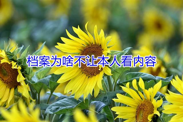 档案为啥不让本人看内容
