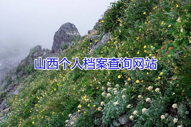 山西个人档案查询网站