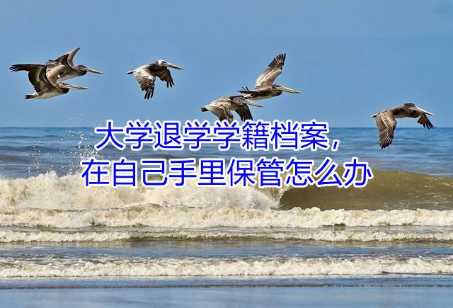 大学退学学籍档案，在自己手里保管怎么办