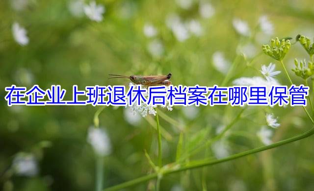 在企业上班退休后档案在哪里保管