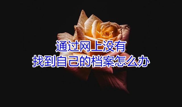 通过网上没有找到自己的档案怎么办