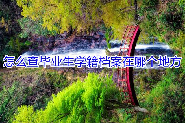 怎么查毕业生学籍档案在哪个地方