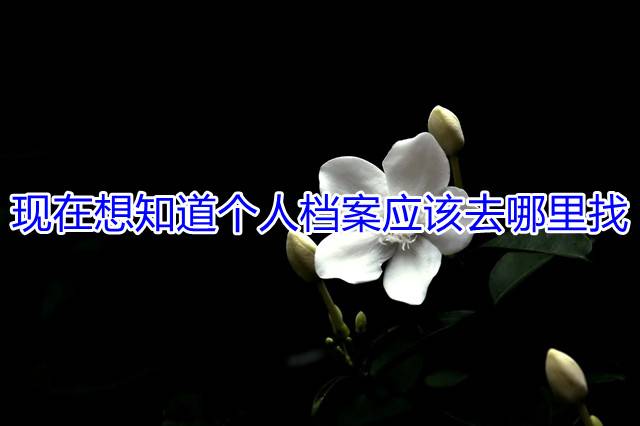 现在想知道个人档案应该去哪里找