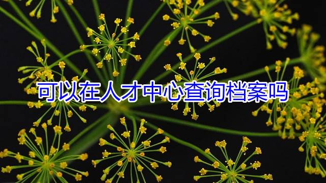可以在人才中心查询档案吗