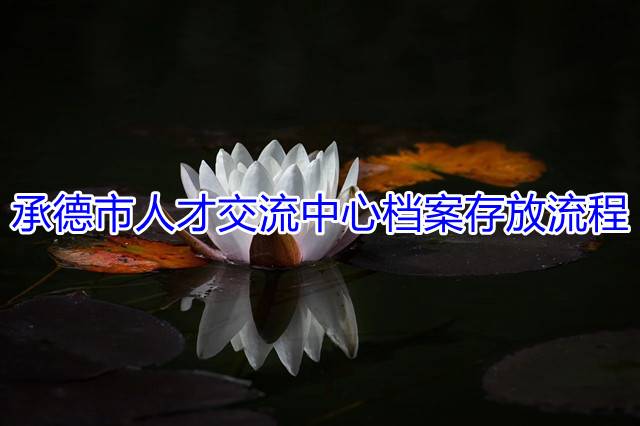 承德市人才交流中心档案存放流程