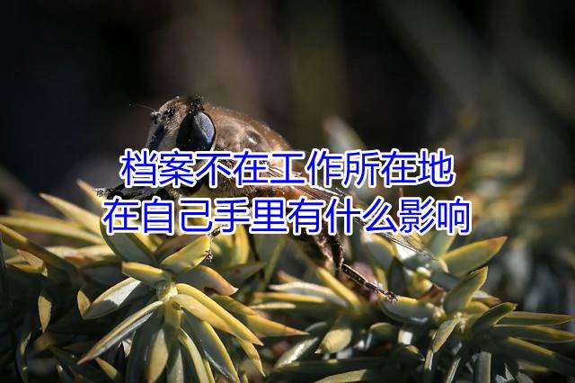 档案不在工作所在地在自己手里有什么影响