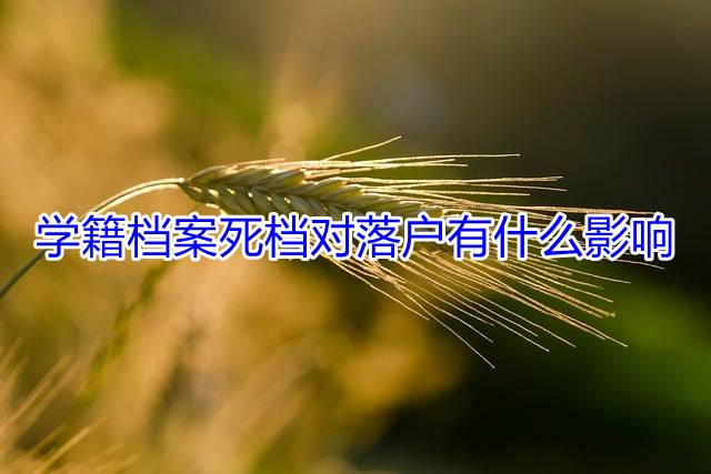 学籍档案死档对落户有什么影响