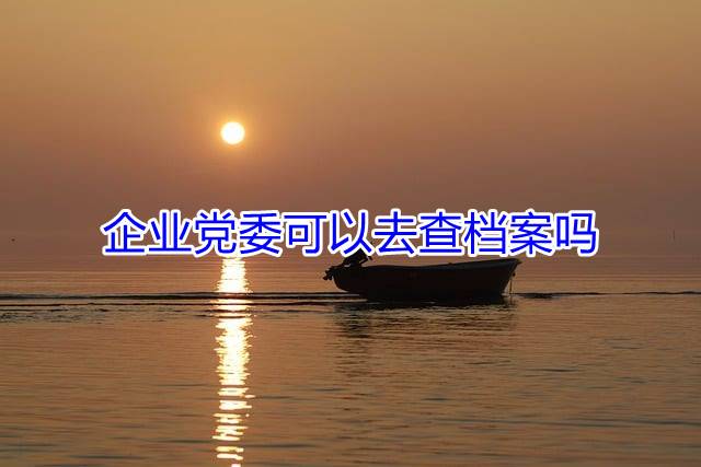 企业党委可以去查档案吗