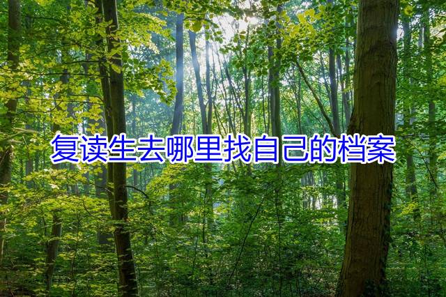 复读生去哪里找自己的档案