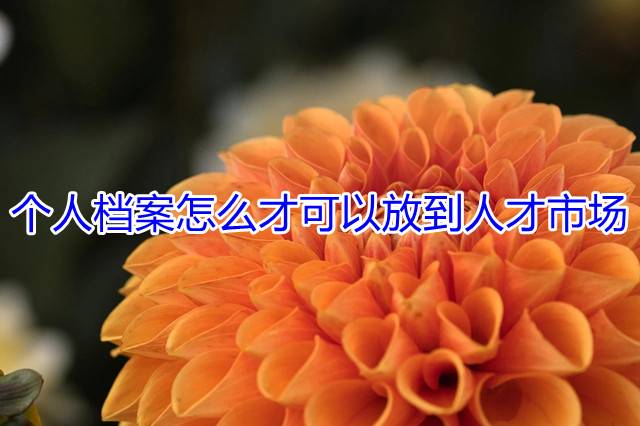 个人档案怎么才可以放到人才市场