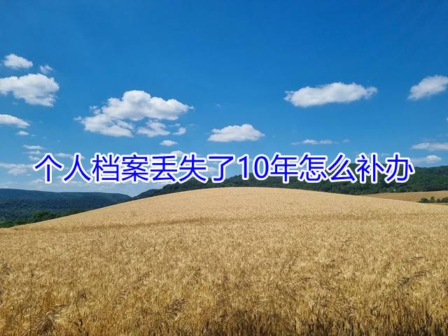 个人档案丢失了10年怎么补办