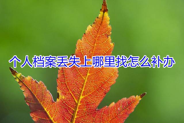 个人档案丢失上哪里找怎么补办