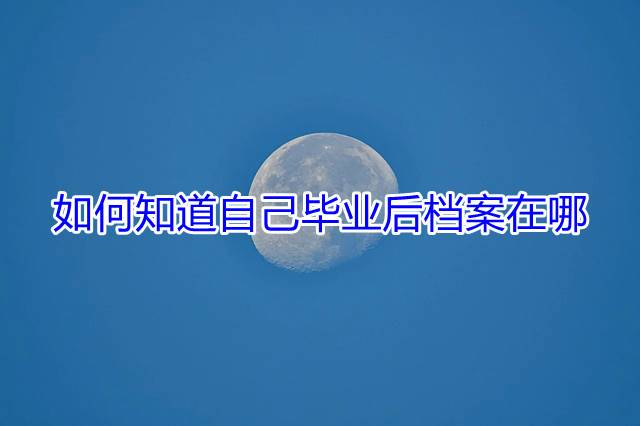如何知道自己毕业后档案在哪