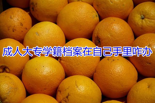 成人大专学籍档案在自己手里咋办