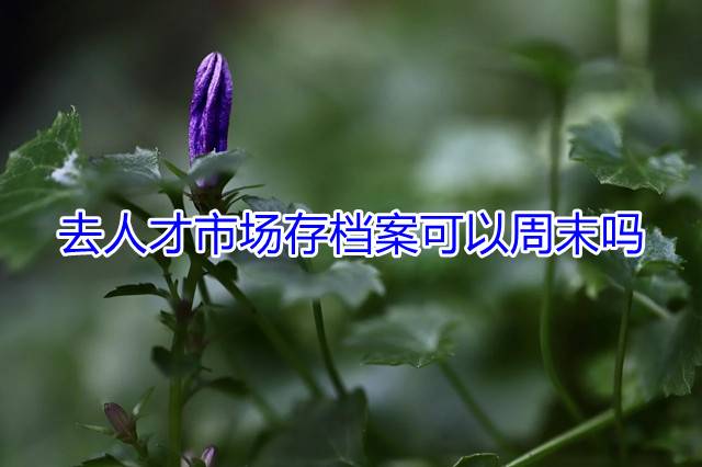 去人才市场存档案可以周末吗
