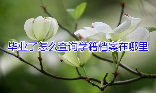 毕业了怎么查询学籍档案在哪里