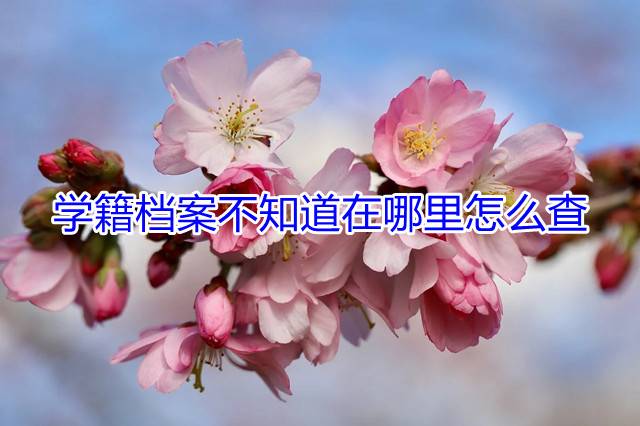 学籍档案不知道在哪里怎么查