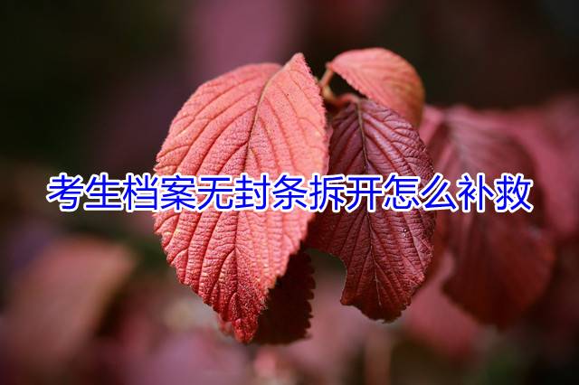 考生档案无封条拆开怎么补救