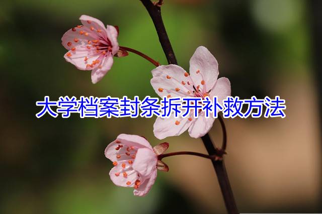 大学档案封条拆开补救方法