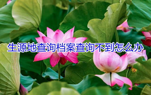 生源地查询档案查询不到怎么办