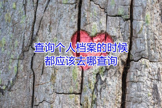 查询个人档案的时候都应该去哪查询
