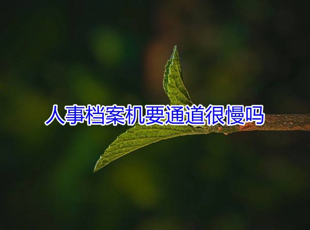 人事档案机要通道很慢吗