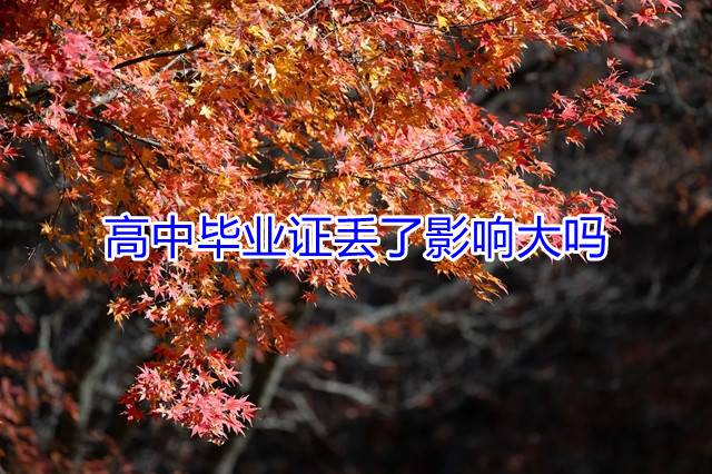 高中毕业证丢了影响大吗