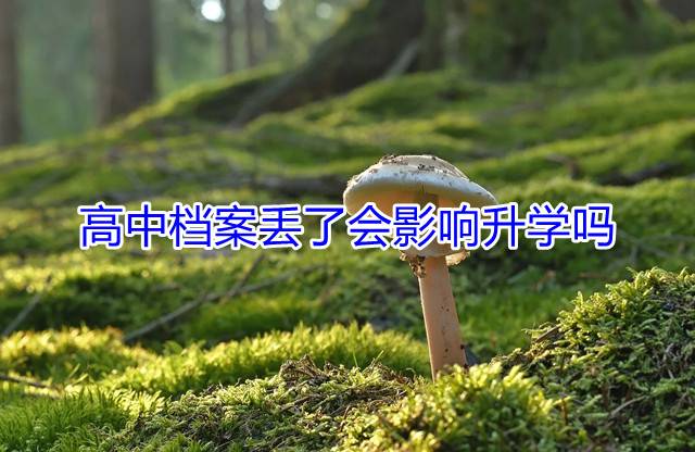 高中档案丢了会影响升学吗