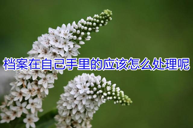 档案在自己手里的应该怎么处理呢