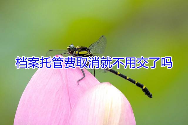 档案托管费取消就不用交了吗