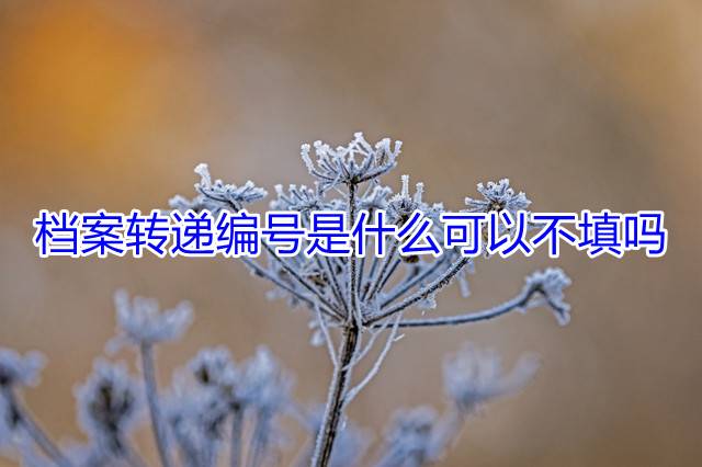 档案转递编号是什么可以不填吗