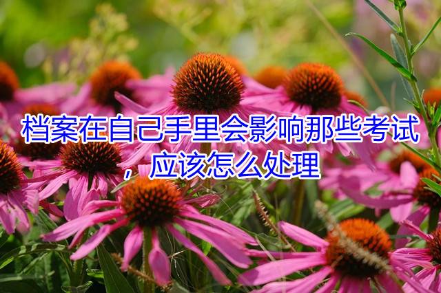 档案在自己手里会影响那些考试，应该怎么处理