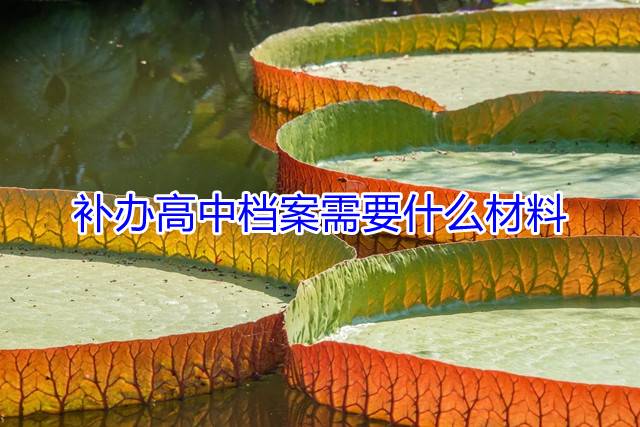 补办高中档案需要什么材料