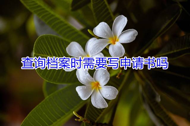 查询档案时需要写申请书吗