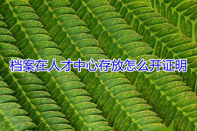 档案在人才中心存放怎么开证明