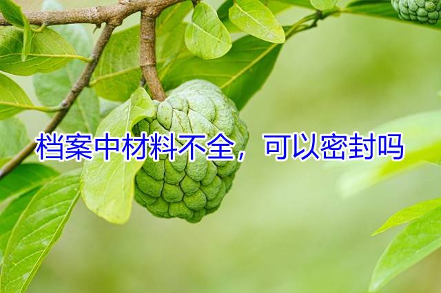 档案中材料不全，可以密封吗