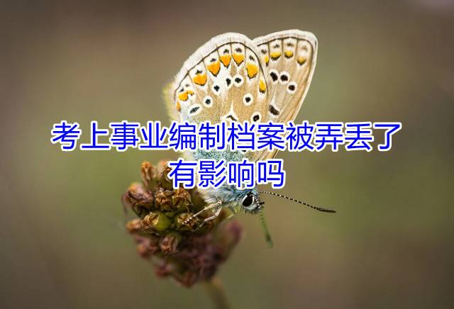 考上事业编制档案被弄丢了有影响吗