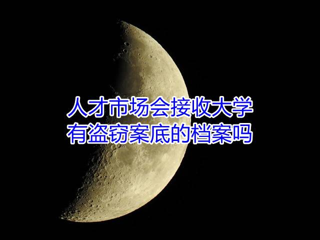人才市场会接收大学有盗窃案底的档案吗