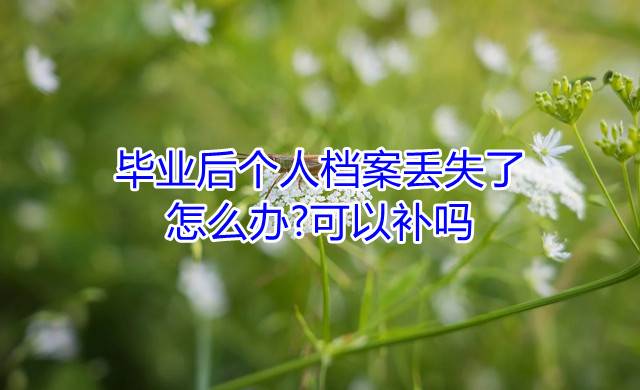 毕业后个人档案丢失了怎么办可以补吗