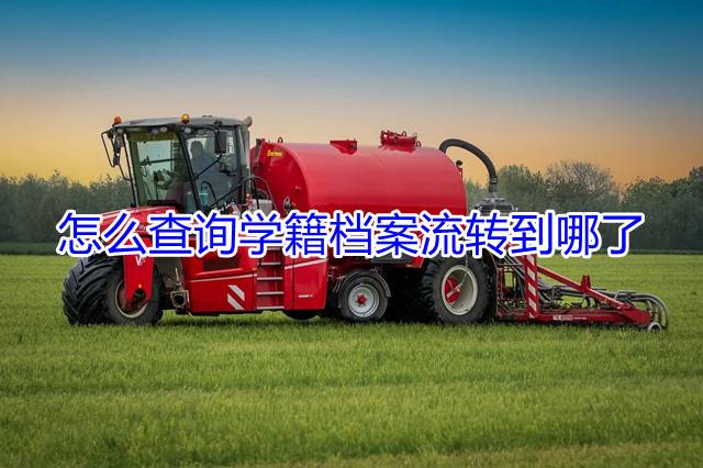 怎么查询学籍档案流转到哪了