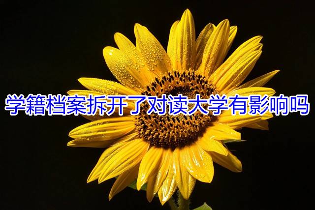 学籍档案拆开了对读大学有影响吗