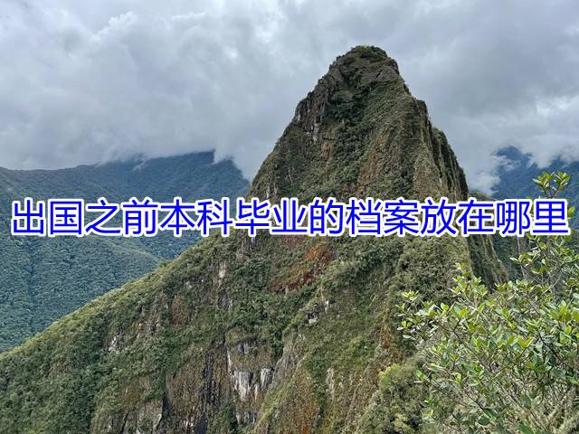 出国之前本科毕业的档案放在哪里