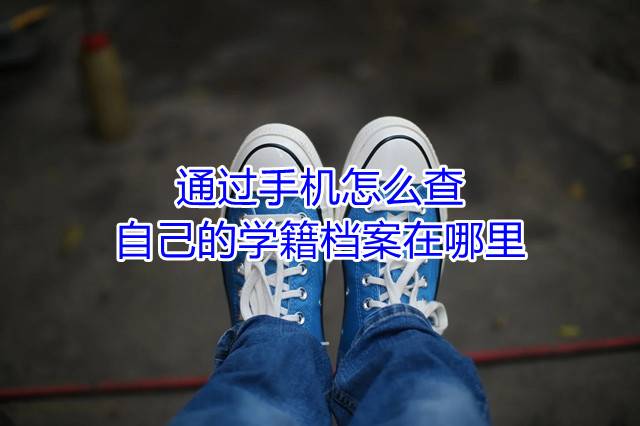 通过手机怎么查自己的学籍档案在哪里